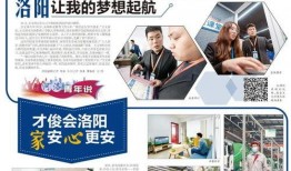 洛阳传媒公司爆料事件最新,最新爆料事件深度解析