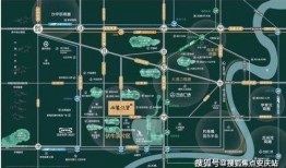 南山区新闻爆料平台电话,倾听民声，传递南山动态