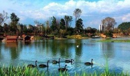 贵州花果园爆料事件最新,揭秘背后真相与影响