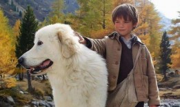 灵犬雪莉在线观看完整,忠诚守护，勇闯天涯